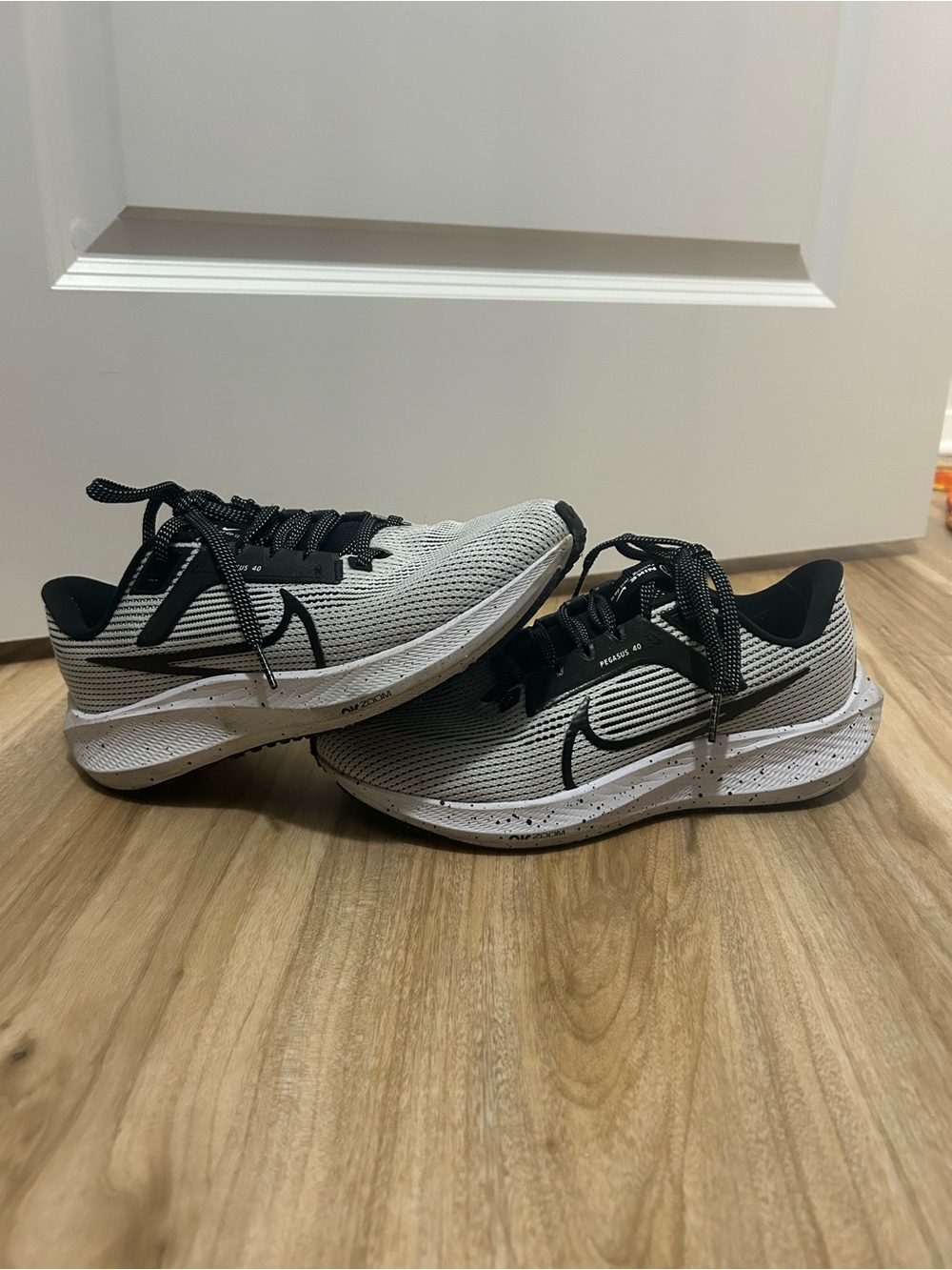 Nike Women’s Pegasus 40 running shoes / sneakers
